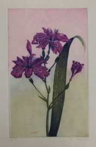 Botanic